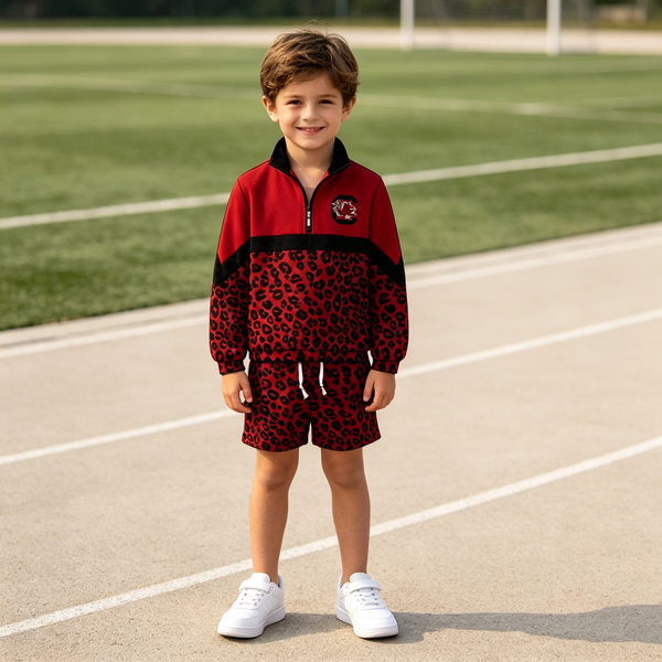 Custom order MOQ:5pcs each design kids boy winter outfit long sleeve shorts set state winter clothes 6