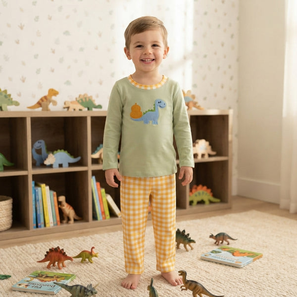 RTS BLP1515 baby boy clothes dinosaur embroidery print long sleeve top pant outfit