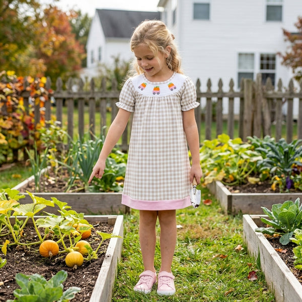RTS GSD4258 toddler girl clothes gingham print short sleeve smocked dress