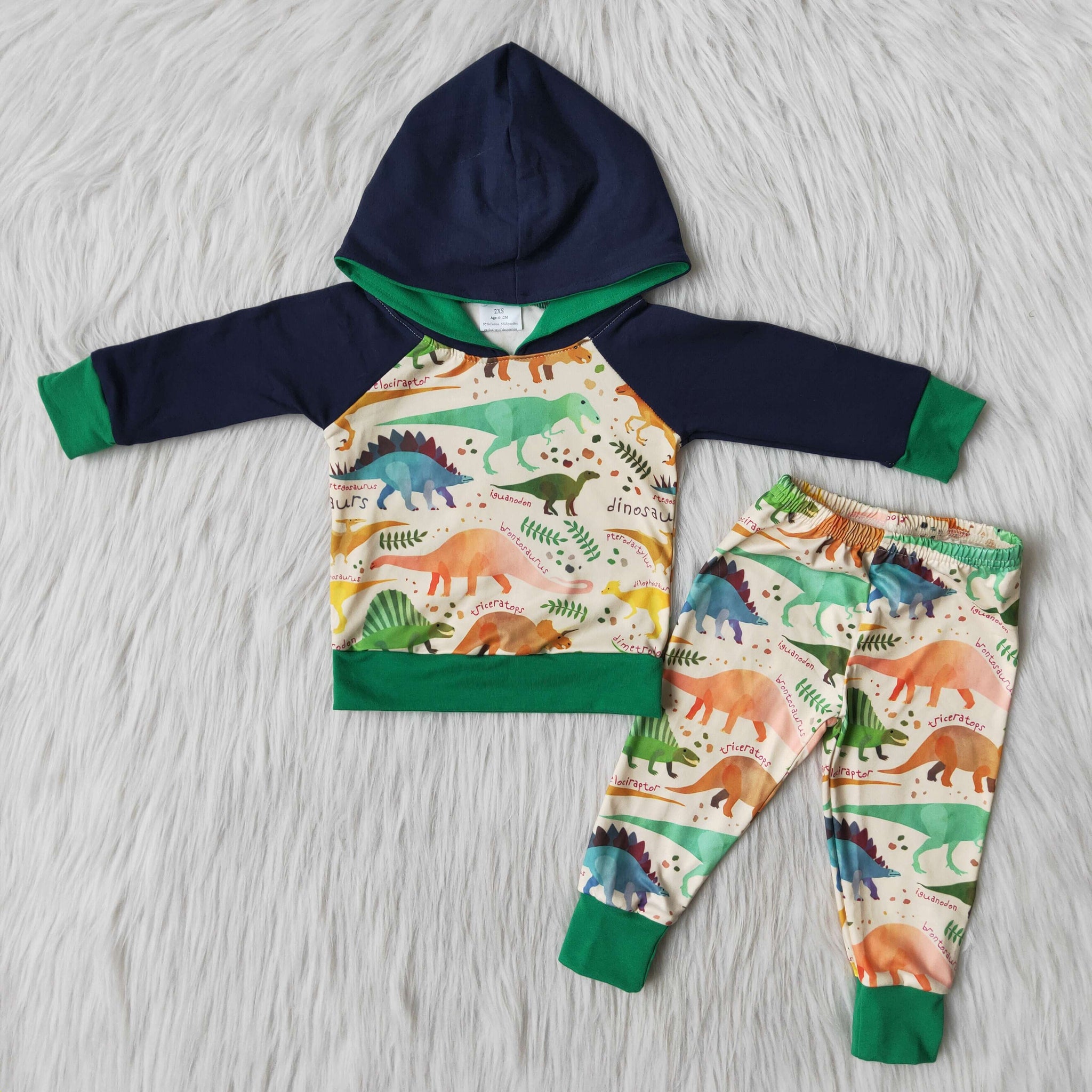 6 B9-17 boy clothes cute green dinosaur hoodies long sleeve set